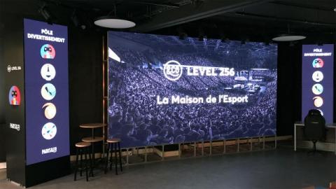 Arena Level 256 Arena Level 256