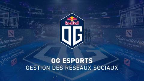 OG Esports - Gestion des Réseaux Sociaux